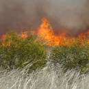 Evaluating Resources: Science